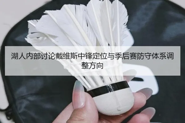 湖人内部讨论戴维斯中锋定位与季后赛防守体系调整方向